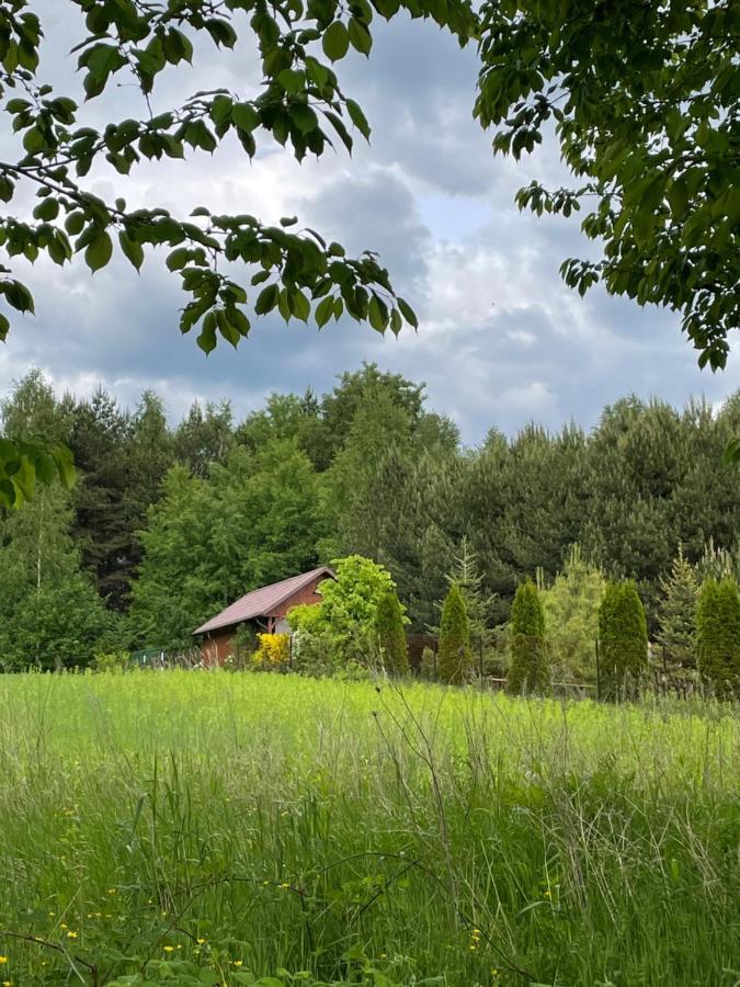 Tomaszów Lubelski Wittowka - Domek Na Wylacznosc Z Dala Od Sasiadow מראה חיצוני תמונה